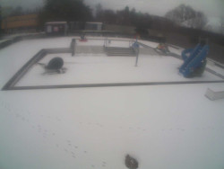 Dětstký venkovní bazén