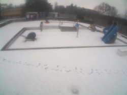 Dětstký venkovní bazén