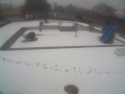 Dětstký venkovní bazén