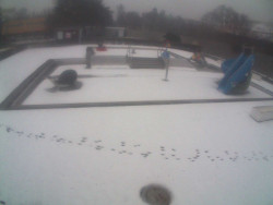 Dětstký venkovní bazén