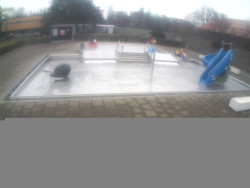 Dětstký venkovní bazén