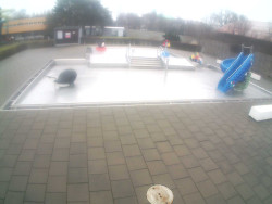 Dětstký venkovní bazén