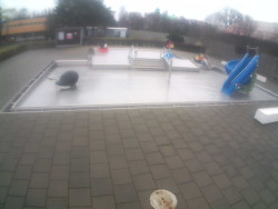 Dětstký venkovní bazén