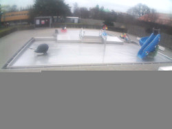 Dětstký venkovní bazén