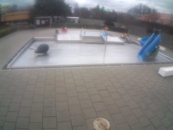 Dětstký venkovní bazén