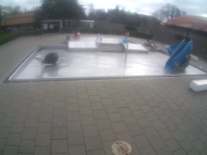 Plavecký stadion Olomouc - Dětstký venkovní bazén - 1.4.2026 v 10:30