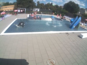 Pływalnia Olomouc - Basen zewnętrzny dla dzieci - 8.8.2026 v 14:30 Pływalnia Olomouc - Basen zewnętrzny dla dzieci - 8.8.2026 v 14:30