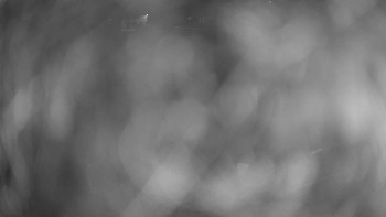 Snímek    11.5.2025 v 03:45