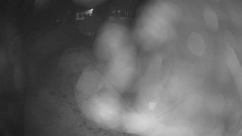 Snímek    15.10.2025 v 05:01