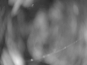 Koupaliště Nýřany - Velký plavecký bazén - 10.3.2026 v 01:45