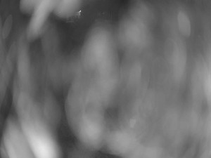 Koupaliště Nýřany - Velký plavecký bazén - 10.3.2026 v 03:45