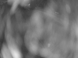 Koupaliště Nýřany - Velký plavecký bazén - 13.3.2026 v 05:45