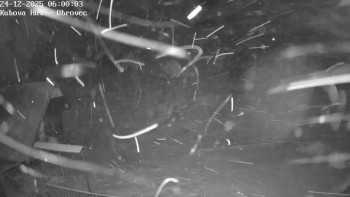 Ski areál Kubova Huť