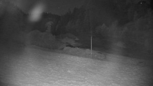 Ski areál Branná - Ski areál Branná - 9.5.2025 v 00:55