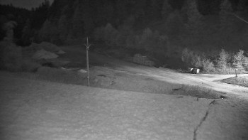 Snímek    10.5.2025 v 04:10