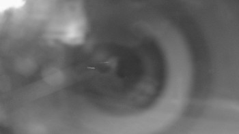 Snímek    12.5.2025 v 22:55