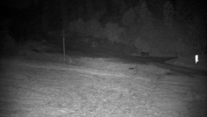 Ski areál Branná - Ski areál Branná - 2.7.2025 v 01:55