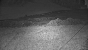 Ski areál Branná - Ski areál Branná - 10.9.2025 v 01:55
