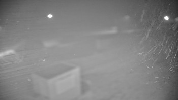 Snímek    14.9.2025 v 05:20