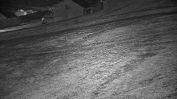 Snímek 7.11.2025 v 21:05