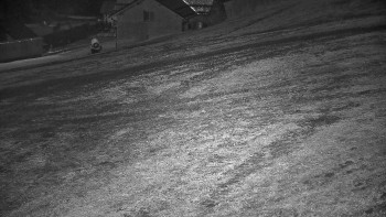 Snímek 7.11.2025 v 23:55