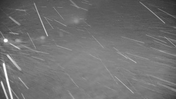 Snímek    10.11.2025 v 16:55