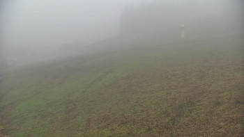 Snímek    11.11.2025 v 07:55