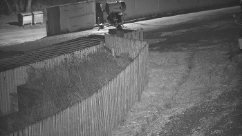 Snímek 11.11.2025 v 21:40