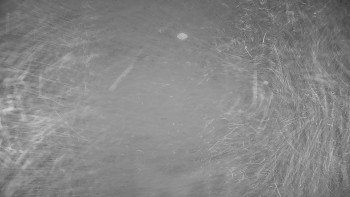 Snímek 13.11.2025 v 17:45