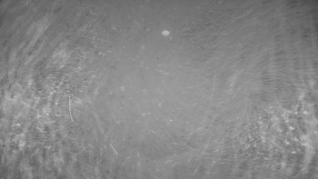 Snímek    13.11.2025 v 19:45