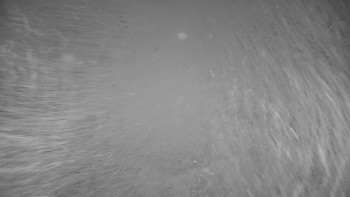 Snímek 14.11.2025 v 03:05