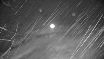 Snímek    15.11.2025 v 00:25