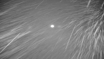 Snímek 16.11.2025 v 20:05