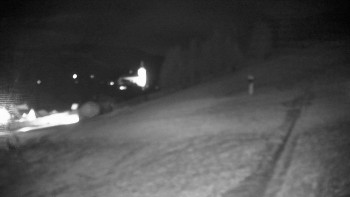 Snímek    18.11.2025 v 17:25