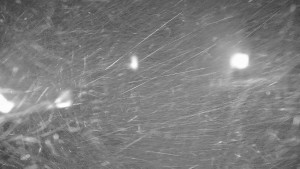 Ski areál Branná - Ski areál Branná - 19.11.2025 v 04:05