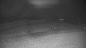 Snímek    19.11.2025 v 19:15