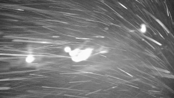 Snímek    21.11.2025 v 05:45