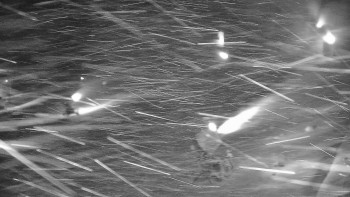 Snímek 23.11.2025 v 22:15