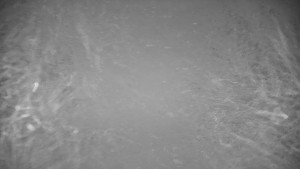 Ski areál Branná - Ski areál Branná - 16.1.2026 v 05:45