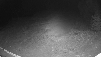 Snímek    17.9.2025 v 04:35
