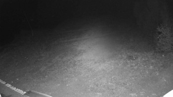 Snímek    17.9.2025 v 21:10