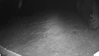 Snímek    18.10.2025 v 19:30