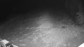 Snímek    20.10.2025 v 03:40