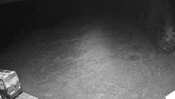 Snímek    1.11.2025 v 17:40