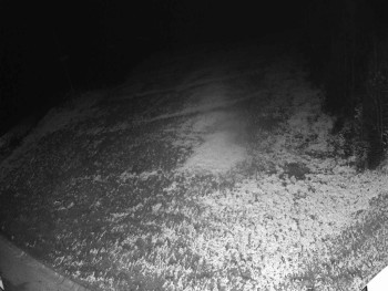 Snímek    19.11.2025 v 17:20