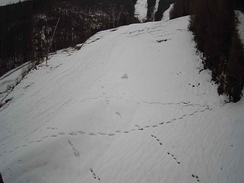 Ski areál SEVERKA v Dolní Lomné