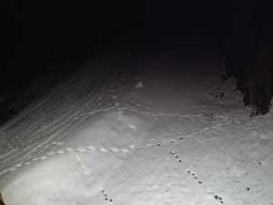 Ski areál SEVERKA v Dolní Lomné - Sjezdovka SEVERKA - 3.4.2026 v 00:10