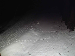 Ski areál SEVERKA v Dolní Lomné - Sjezdovka SEVERKA - 3.4.2026 v 00:30