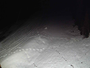 Ski areál SEVERKA v Dolní Lomné - Sjezdovka SEVERKA - 3.4.2026 v 00:35