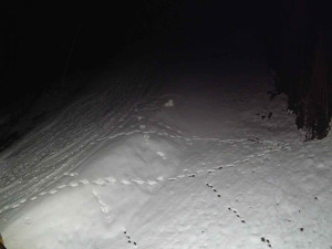 Ski areál SEVERKA v Dolní Lomné - Sjezdovka SEVERKA - 3.4.2026 v 00:45